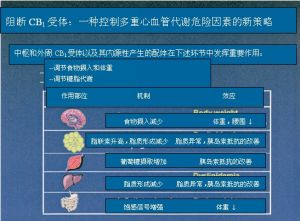 內源性大麻素的作用機制