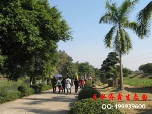 三水僑鑫生態園園區導航圖