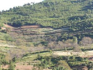 新民自然村[雲南省綏江縣中城鎮新民自然村]