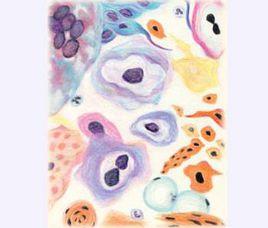 人類乳頭瘤病毒 人類乳頭瘤病毒