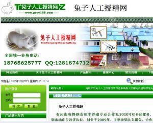 兔子人工授精網