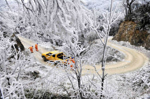 凝凍災害 凝凍災害