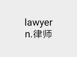 lawyer lawyer