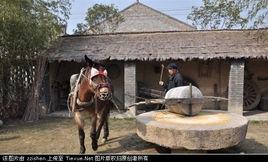 薩特的磨坊 薩特的磨坊