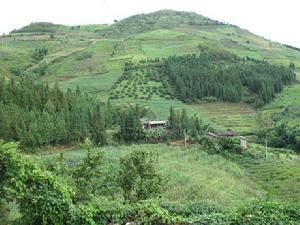 弄丘二組村 弄丘二組村