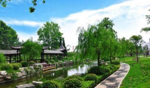 夏橋公園 夏橋公園