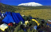 吉力馬札羅國家公園