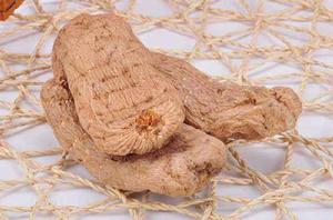 金口河烏天麻 金口河烏天麻