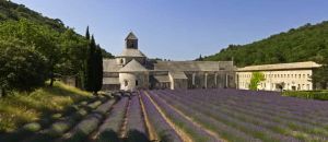 阿巴洛修道院 阿巴洛修道院