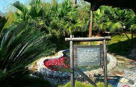 大明谷溫泉村 大明谷溫泉村