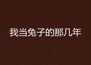 我當兔子的那幾年 我當兔子的那幾年