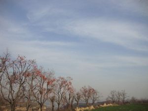 城關鎮[白水縣]