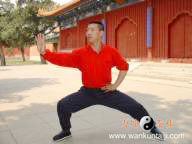 林海鷹[太極忽雷架第六代傳人]