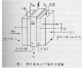 燃料電池