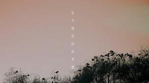 在不確定的世界裡