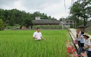 桑植縣官地坪鎮杜家坪村
