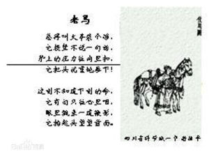 老馬 老馬