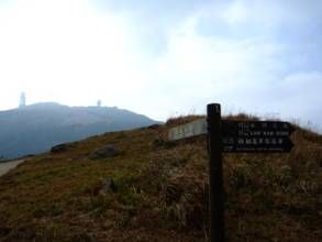 梧桐寨特別地區 梧桐寨特別地區