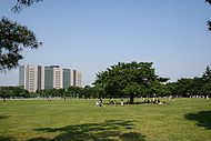 武藏野中央公園