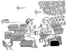 調查研究 調查研究