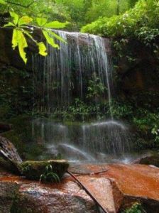 滑水沖自然保護區 滑水沖自然保護區