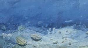 古生物演化 古生物演化