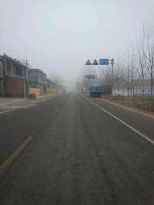 楊莊[山東省菏澤市定陶縣張灣鎮]