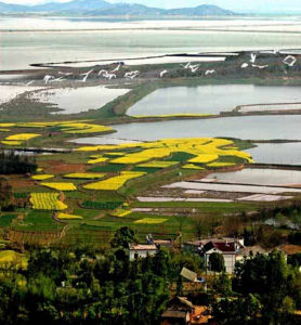 桐城八景 桐城八景