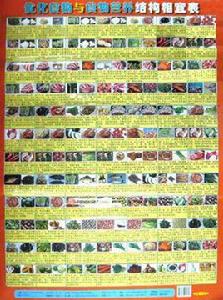 最佳化食物與食物營養結構相宜表 最佳化食物與食物營養結構相宜表