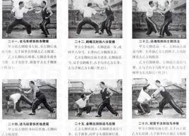 虎鶴雙形拳 虎鶴雙形拳