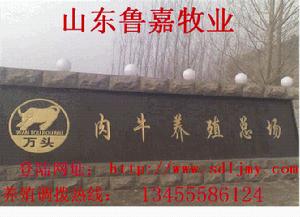 山東省魯嘉牧業有限公司 山東省魯嘉牧業有限公司