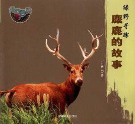 綠野尋蹤:麋鹿的故事 綠野尋蹤:麋鹿的故事