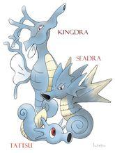 墨海馬→海刺龍→刺龍王