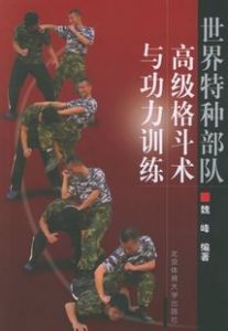 世界特種部隊高級格鬥術與功力訓練 世界特種部隊高級格鬥術與功力訓練