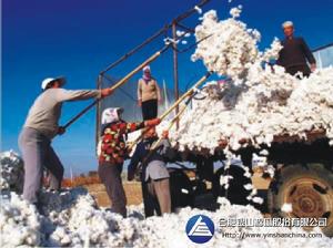 合肥銀山棉麻股份有限公司