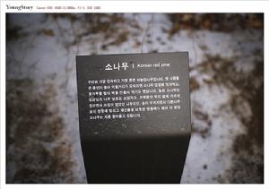 （圖）高陽西五陵