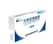 穿心蓮軟膠囊 穿心蓮軟膠囊