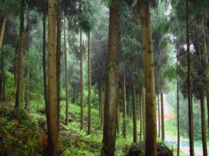 斯塔諾夫山脈 斯塔諾夫山脈