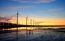 高美濕地 高美濕地