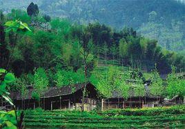 石泉古苗寨 石泉古苗寨