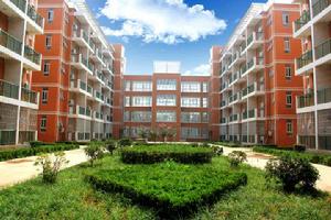 周口市第三高級中學 周口市第三高級中學