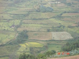 二尼古自然村 二尼古自然村