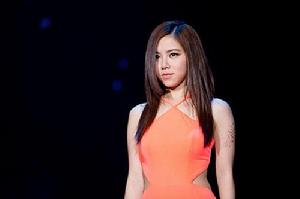 夜空中最亮的星[鄧紫棋演唱歌曲]