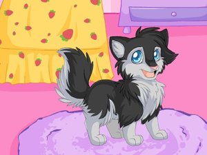 扮靚小狗凱蒂 扮靚小狗凱蒂