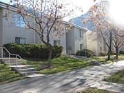 楊百翰大學夏威夷分校