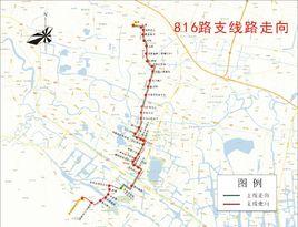紹興公交816路 紹興公交816路