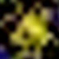 IC 2344 GALEX 彩色圖