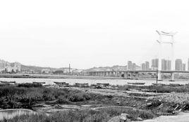 泉州灣晉江南岸濕地公園 泉州灣晉江南岸濕地公園