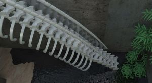 共振建築設計——中國造園