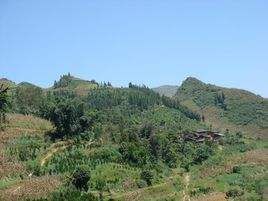 老喝碑上寨自然村